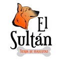 Mejora la relación con tu perro a través del juego