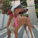 1697835912979-01.webp
