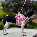 Pechera de Malla + correa - Razas Pequeñas (Velcro) 