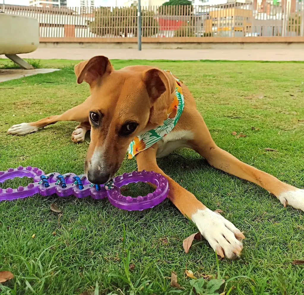 1685738131961 (3).webp