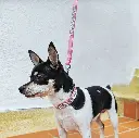 1707766835326-01.webp