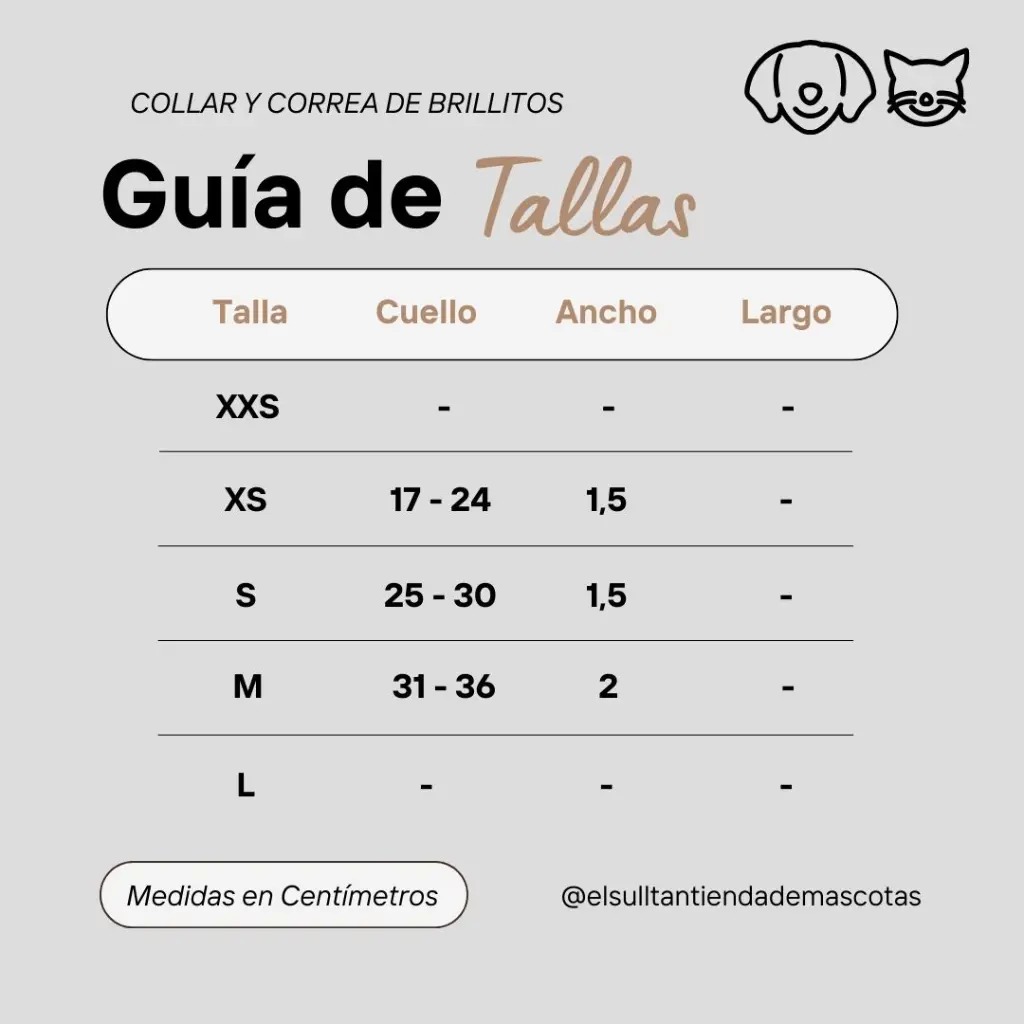 Collar y correa de brillitos.webp