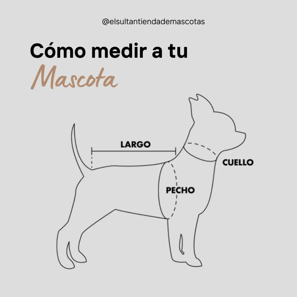 Como medir a tu mascota.webp