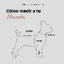 Como medir a tu mascota.webp