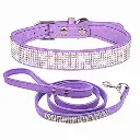 Collar y correa Fashionable - Razas Pequeñas PA67C
