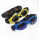 Gafas para perro