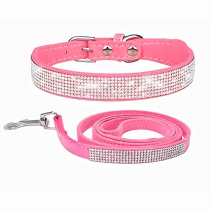 Collar y correa Fashionable - Razas Pequeñas PA67C