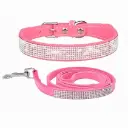 Collar y correa Fashionable - Razas Pequeñas PA67C