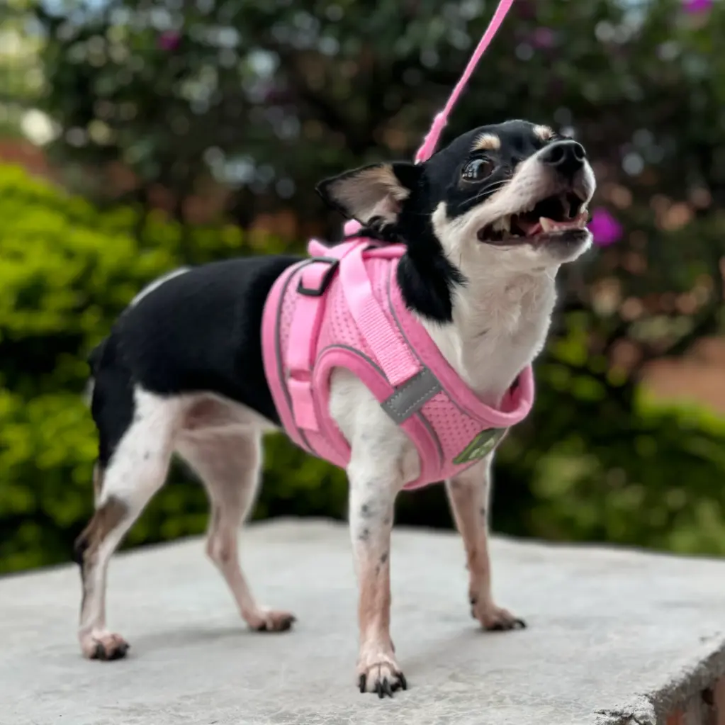 Pechera de Malla + correa - Razas Pequeñas (Velcro) 