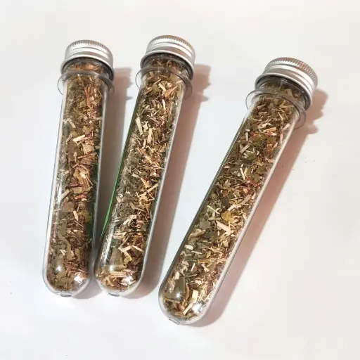 Catnip Hierba gatuna 