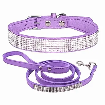 Collar y correa Fashionable - Razas Pequeñas PA67C